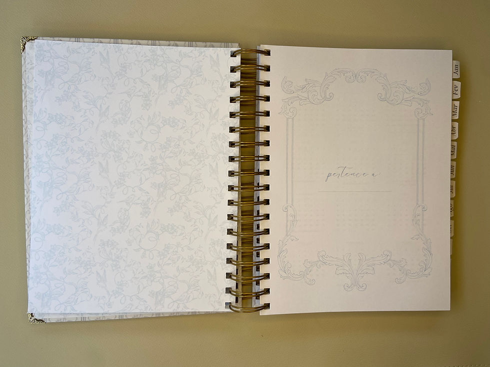 Miniatura: Planner para moças 2026