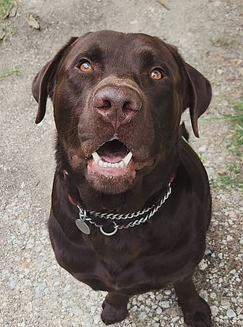 Tucker smiling