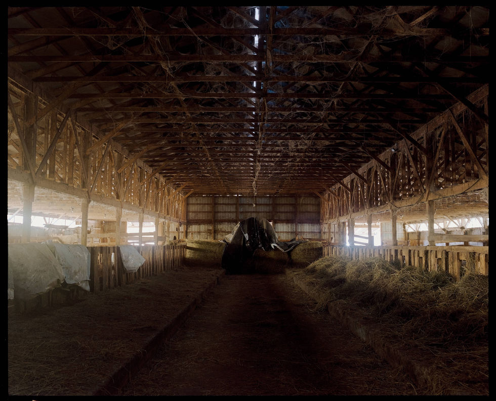 DSCF3800-positive Website Dec 20 2025 21-34.jpg