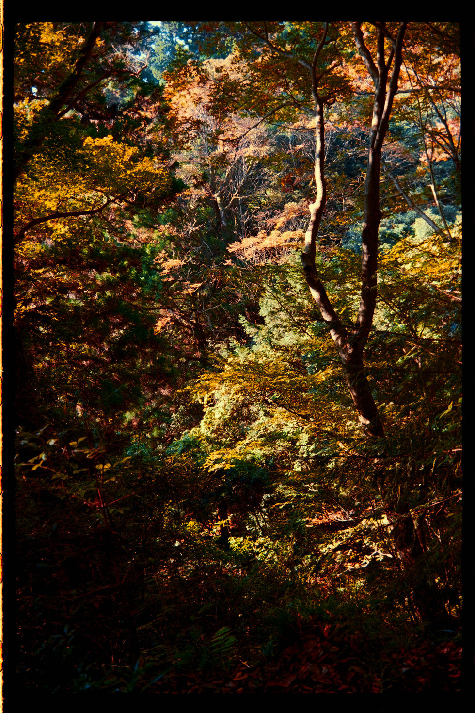 DSCF5298-positive Website Mar 09 2026 21-47.jpg