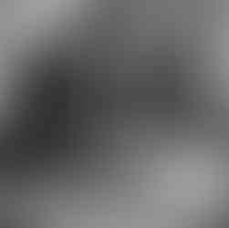 Chef at sushi prep station behind sushi bar re-wrapping tuna on plate in plastic. Japanese noren in background.