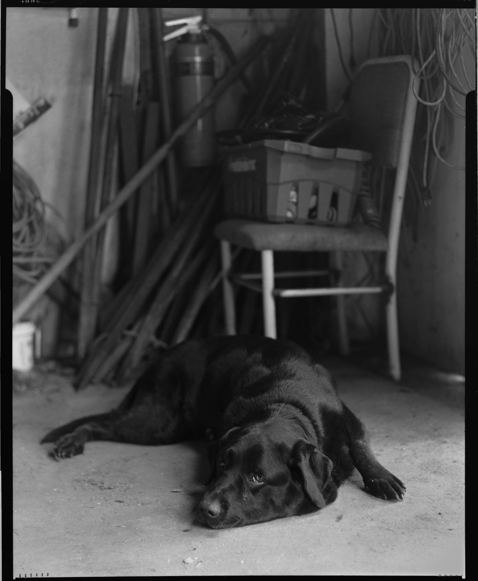 DSCF7563-Pano-positive Website Dec 20 2025 21-26.jpg