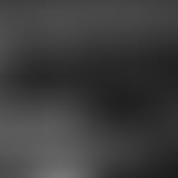 C'est Japon à Suisha - 1 - Introduction 