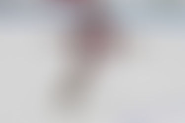 Yale Daily News Article