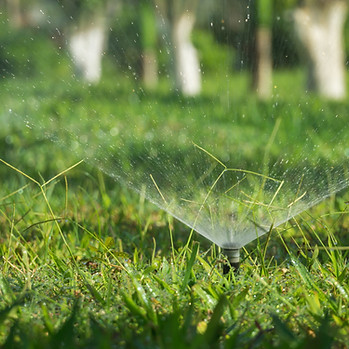 Sprinkler Head Spraying