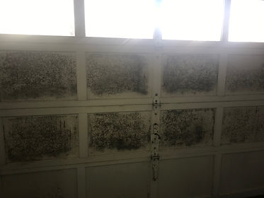 Mold Garage 2.jpeg