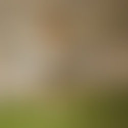 Programma "STOP 4-7" bērniem ar uzvedības traucējumiem