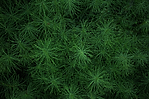 background.png