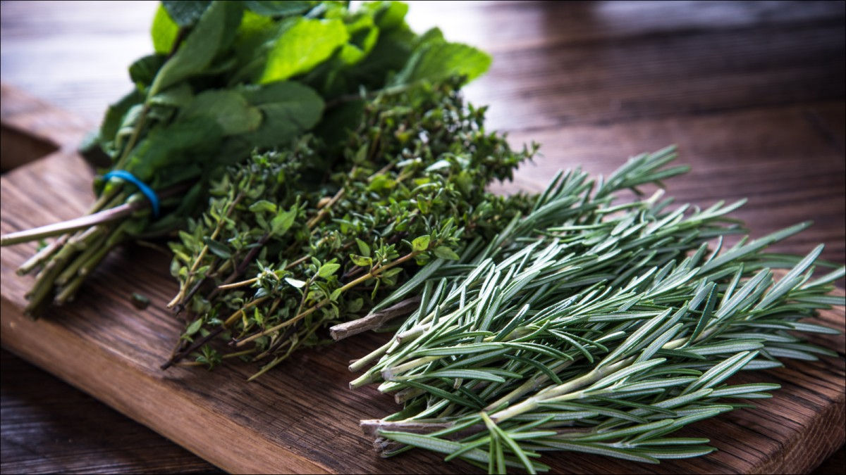 9/2825 Boozy Gardening Class - Columbia, South Carolina