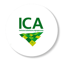 ica.png