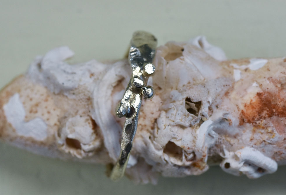 Thumbnail: white gold single ring- size O