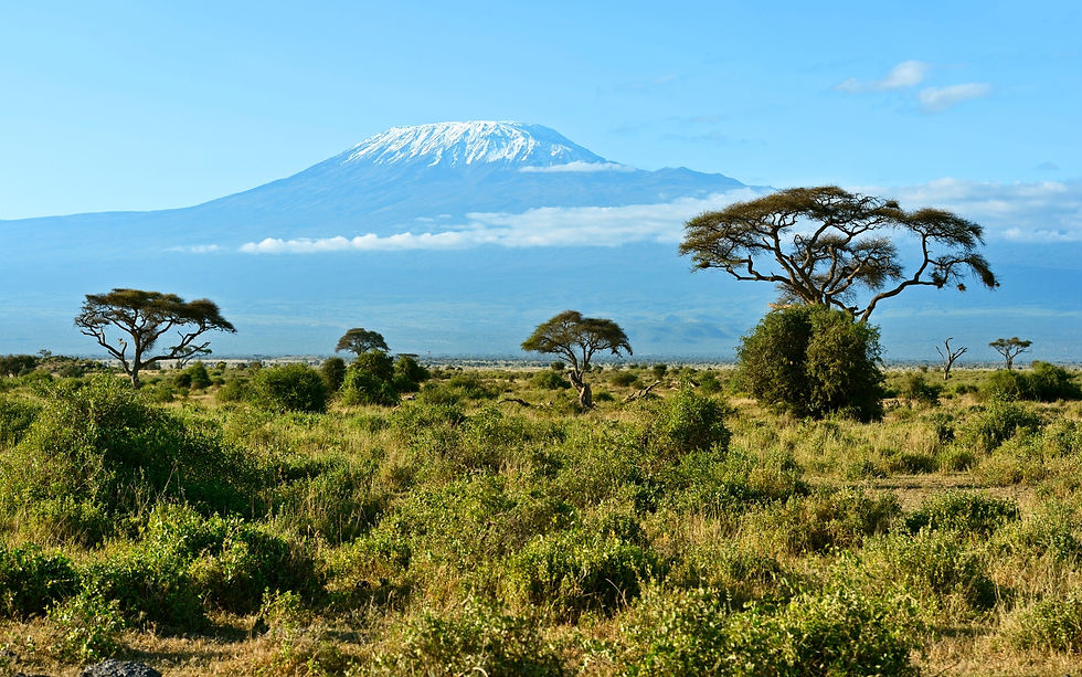 Tanzânia e Quênia Inesquecíveis - Clássico