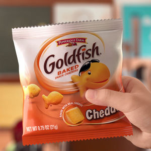 GOLDFISH_SCHOOL