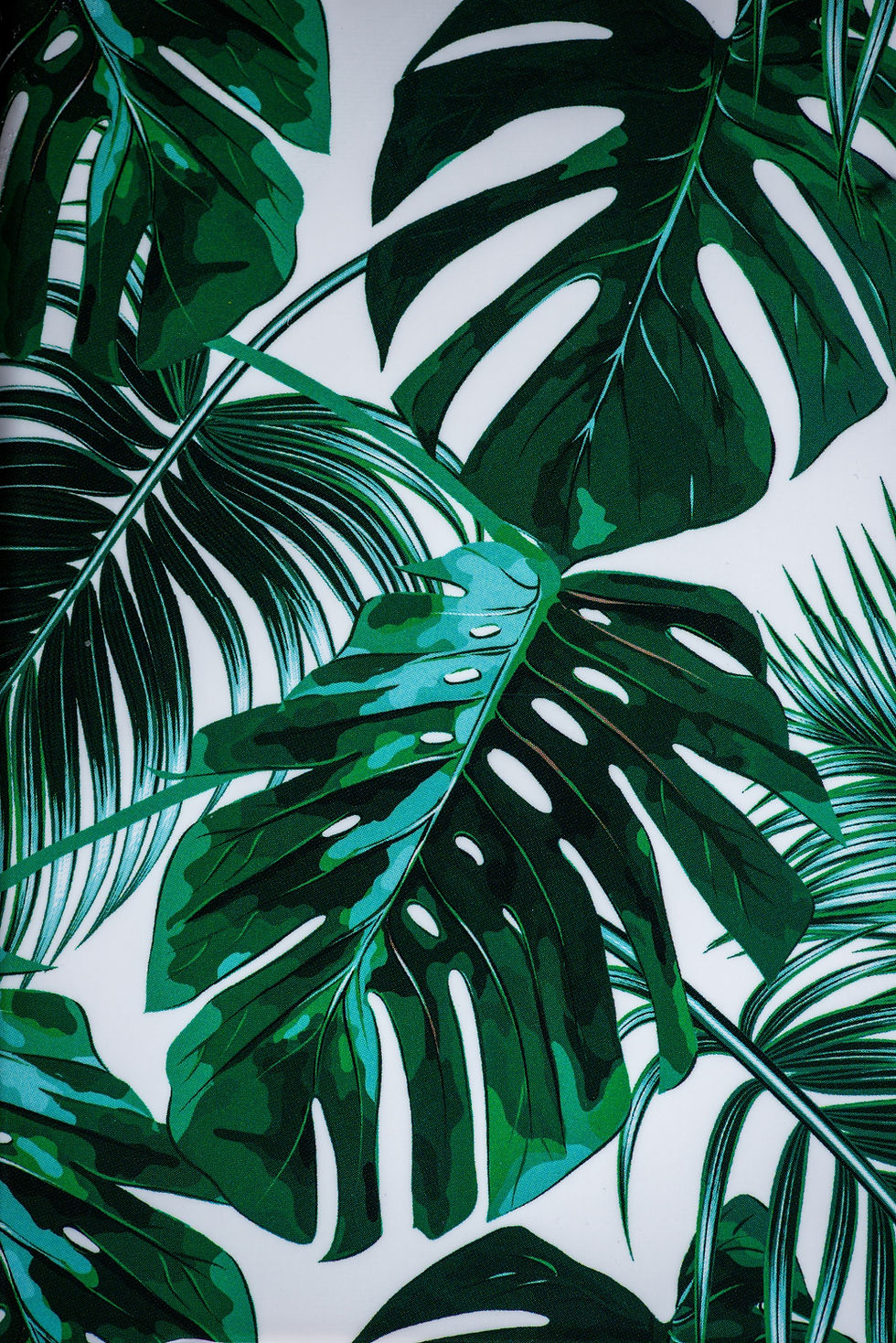 Leaf background