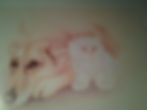Simba And Gypsy