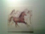 Wild Horses