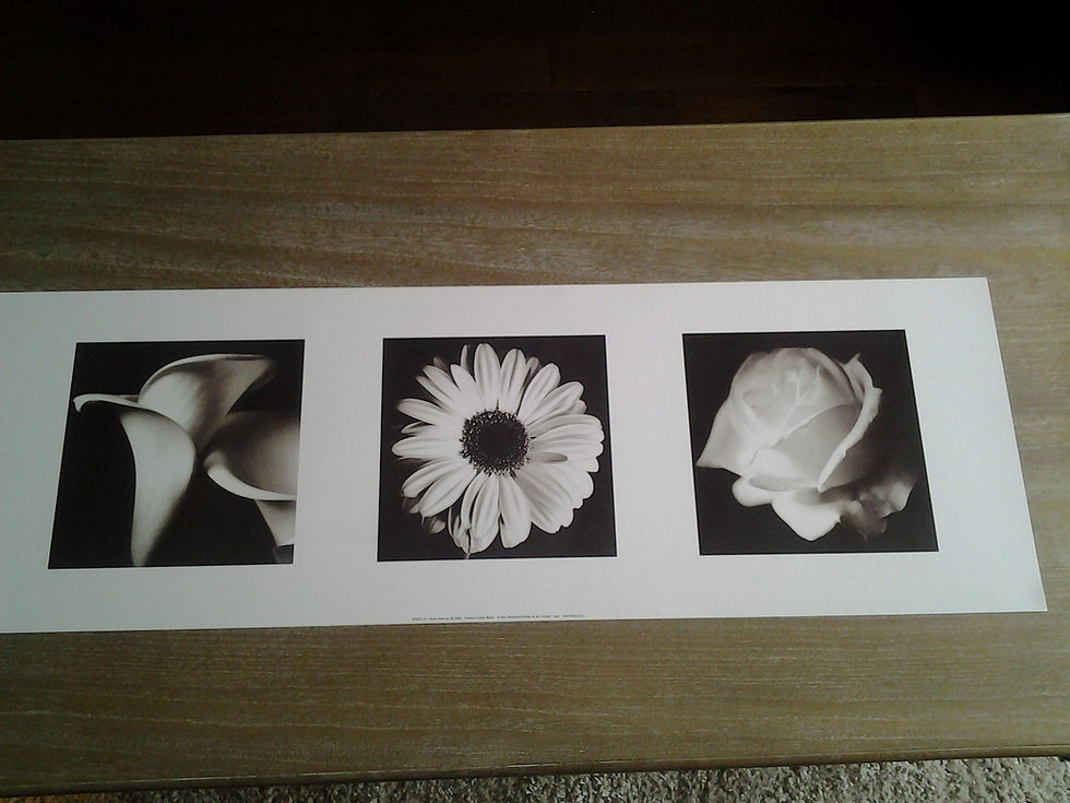 Flower Panel