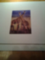 Masai Giraffes