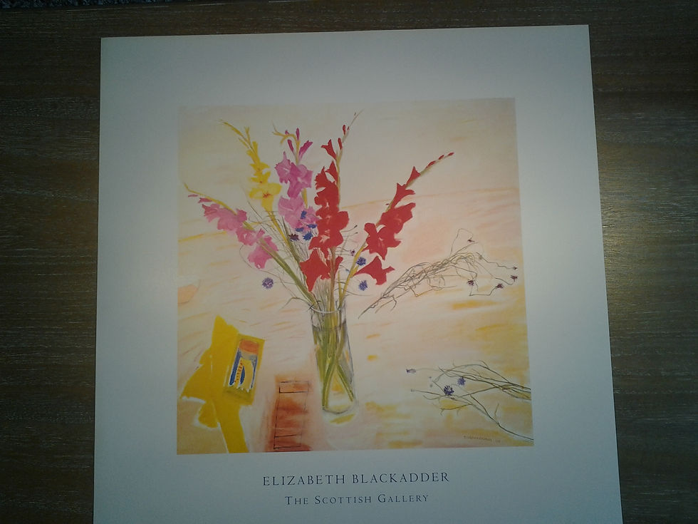 Still Life With Gladiolo