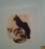 Two Cats