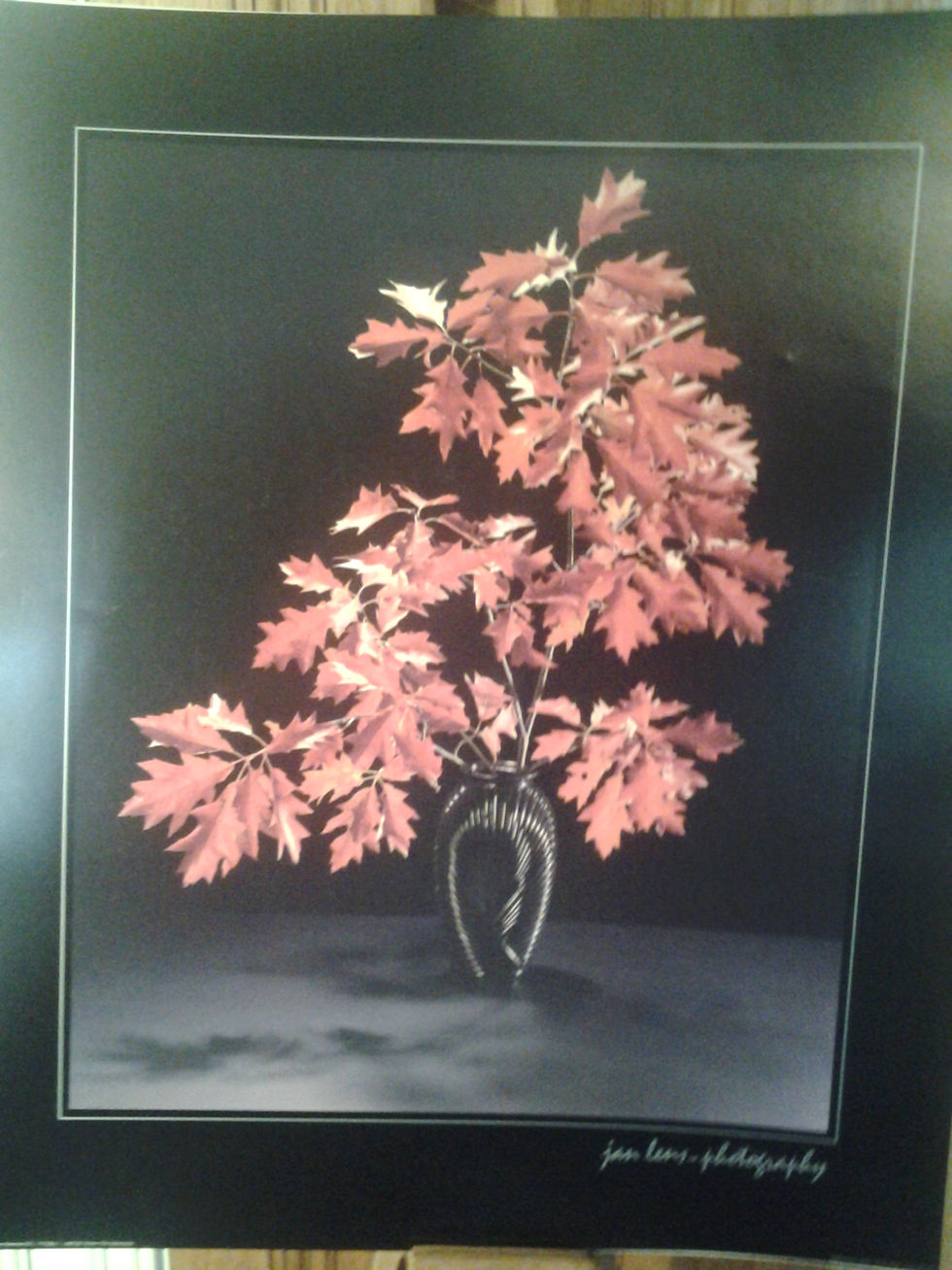 4168 Autumn Leaves
