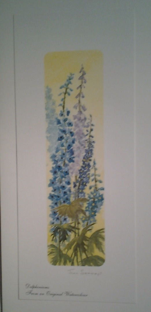 Delphiniums