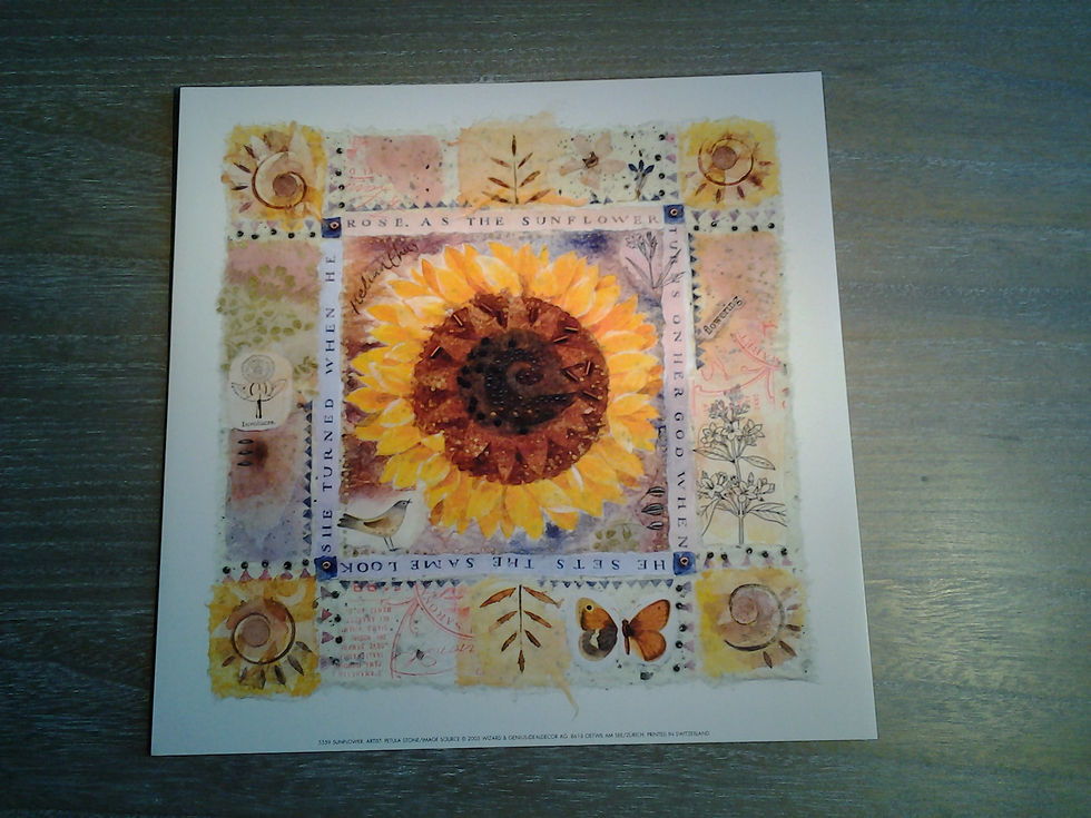 Sunflower