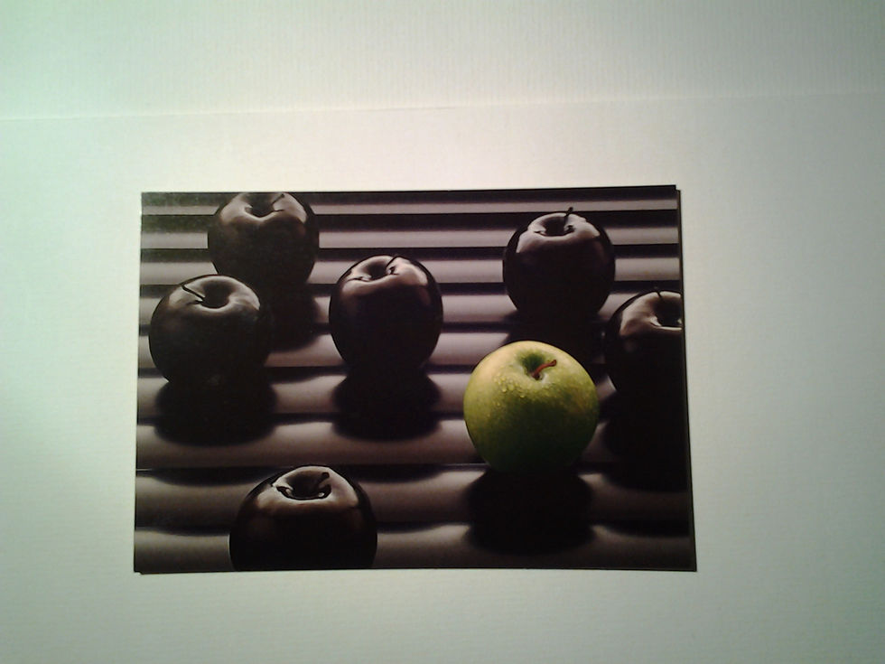 Image 34342
