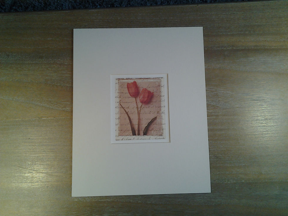 Two Tulips On Writing