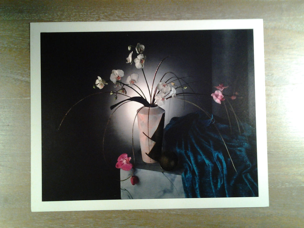 Orchids In Vase
