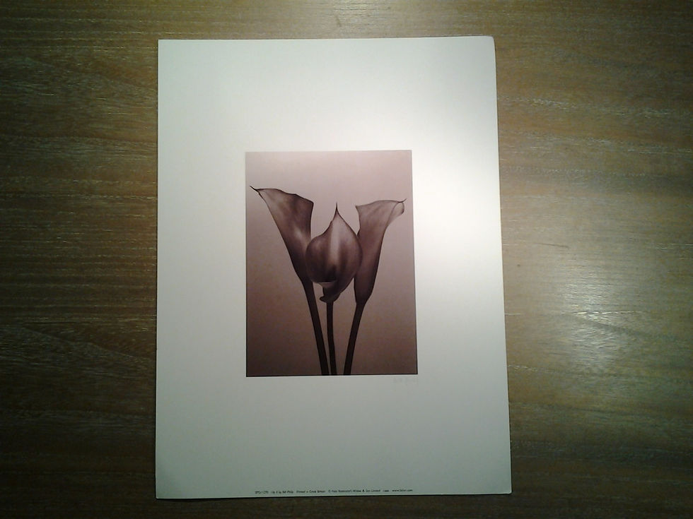 Lily II
