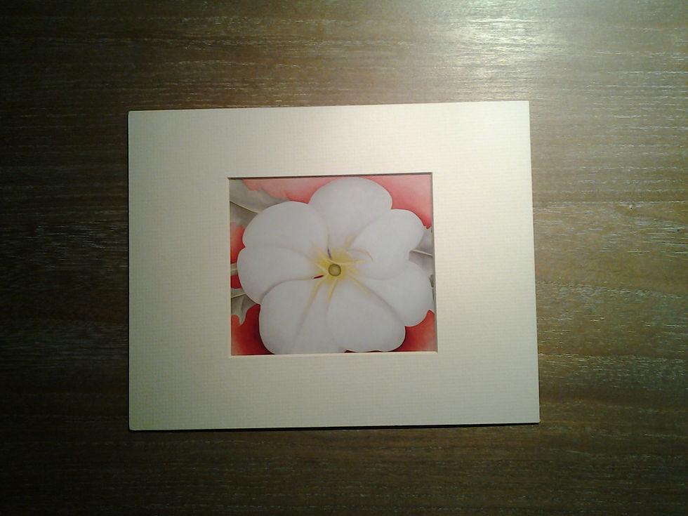 White Flower On Red Earth
