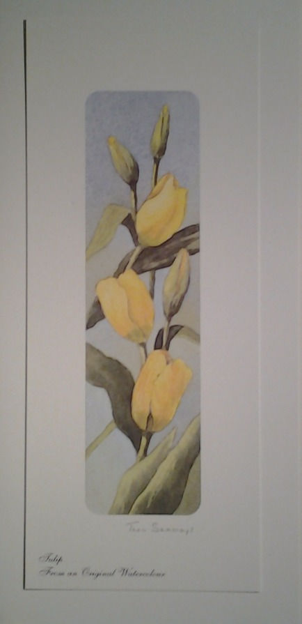 Tulip