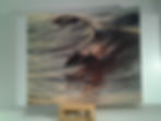 Dolphins