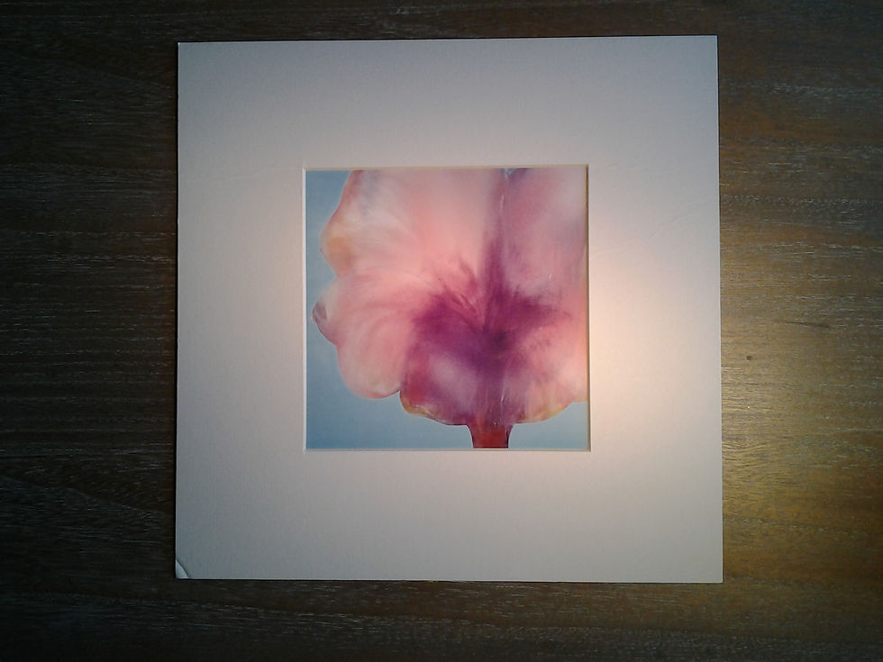Flower I