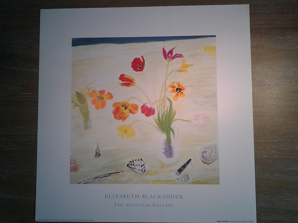 Tulips And Shells