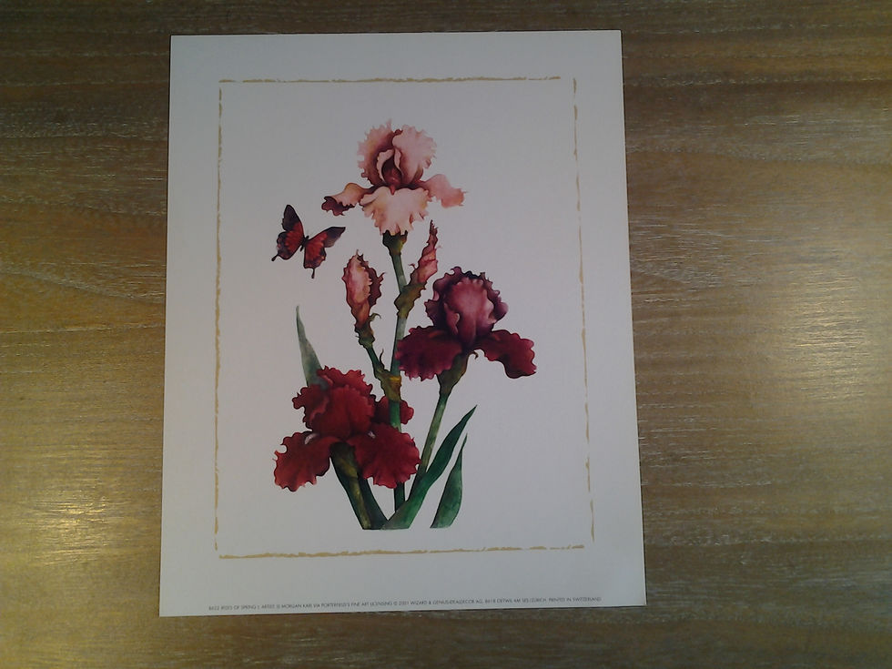 Irises Of Spring I
