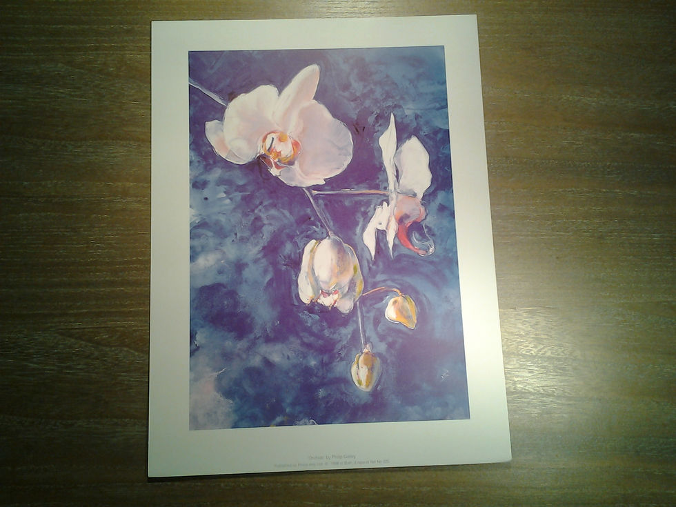 Orchids