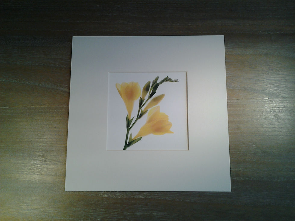 Image II