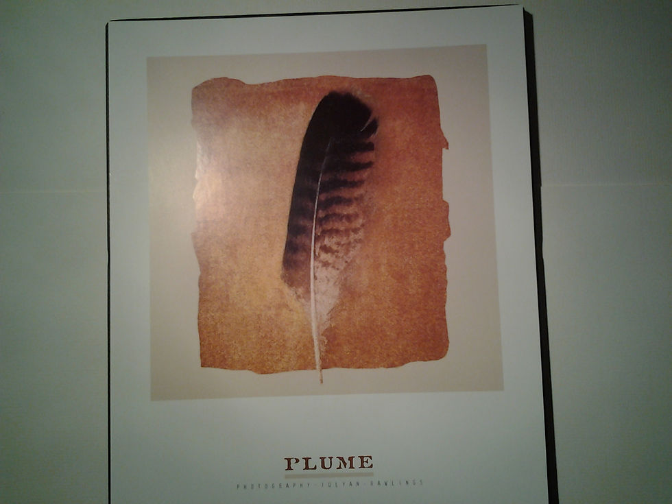 Plume
