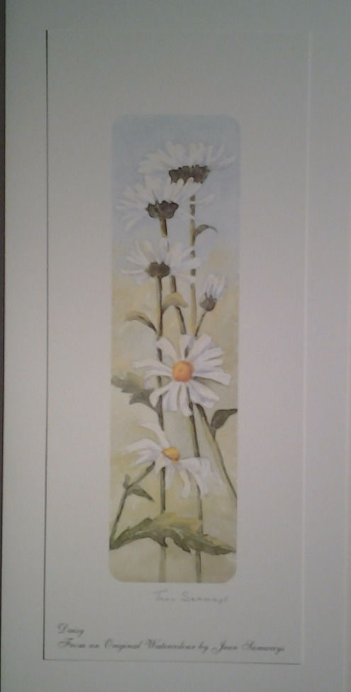Daisy