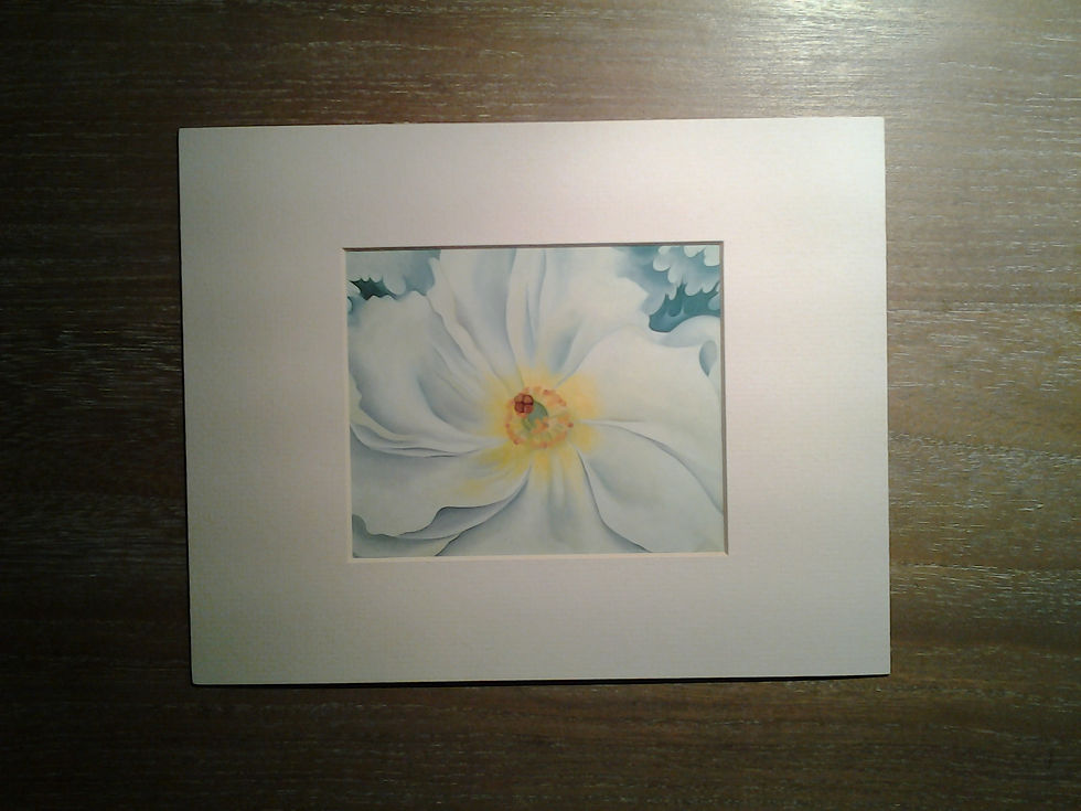White Flower