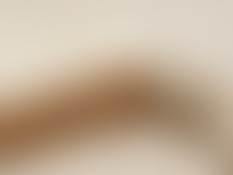 organic cotton fabric supplier