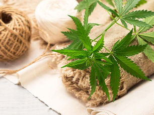 hemp clothing wholesale