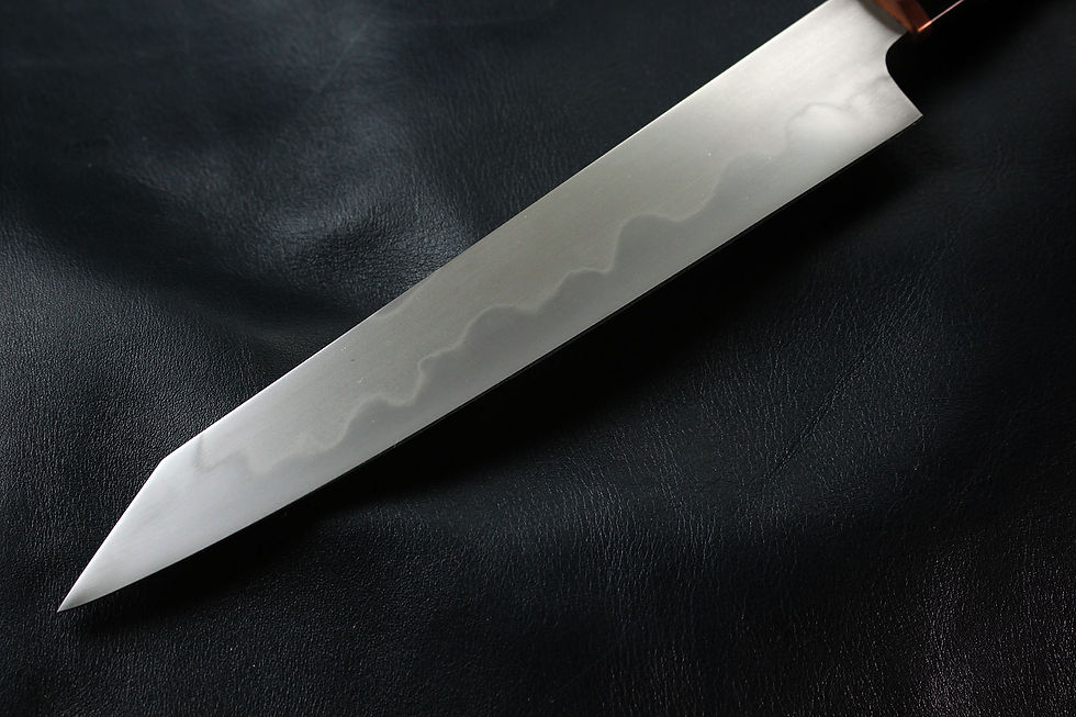 japan_sef_pyraster05