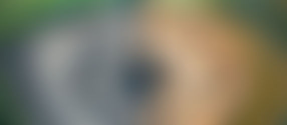 Apache Corporation Partners with Borderlands Research Institute for Innovative Well Pad Restoration 