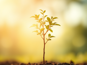 Giving That Lasts: Why the Smartest Foundations Think Like Investors