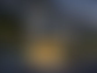 Blackstone’s Strategic Expansion into U.S. Hospitality