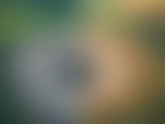 Apache Corporation Partners with Borderlands Research Institute for Innovative Well Pad Restoration