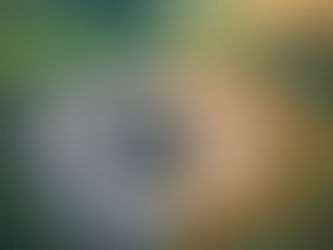 Apache Werkt Samen met Borderlands Research Institute voor Herstel van Boringplatforms